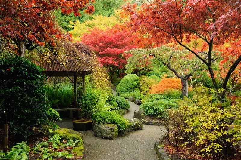 NARITA  – TP. HỒ CHÍ MINH	(Ăn sáng)